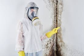 Why You Should Choose Our Mold Remediation Services in David City, NE